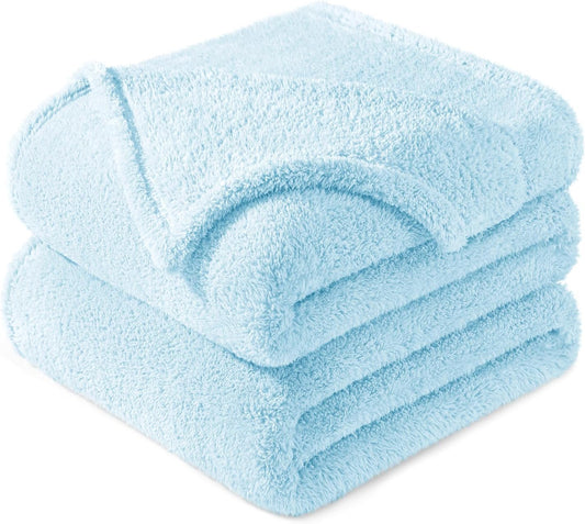 Exclusivo Mezcla Twin Size Flannel Fleece Blanket, Super Soft Velvet Plush Bed Blanket, Fuzzy Cozy and Warm for All Seasons, 60x80 Inches, Light Blue